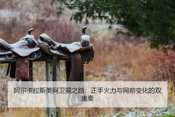 阿尔卡拉斯美网卫冕之路：正手火力与网前变化的双重奏